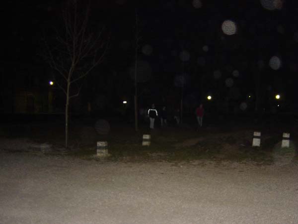 DSC01674