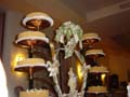 DSC04870