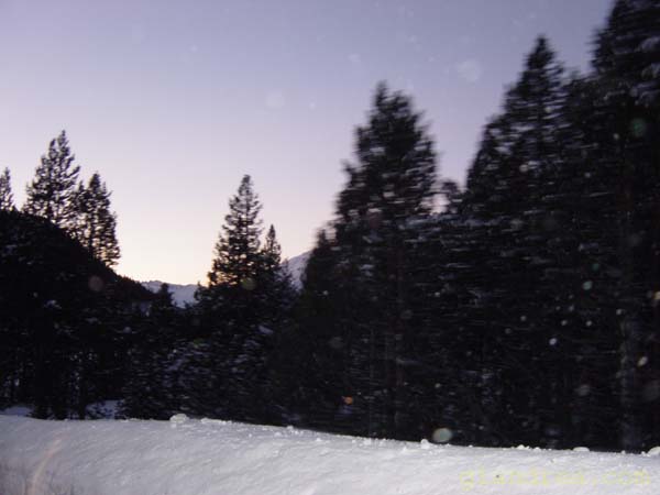 DSC05781