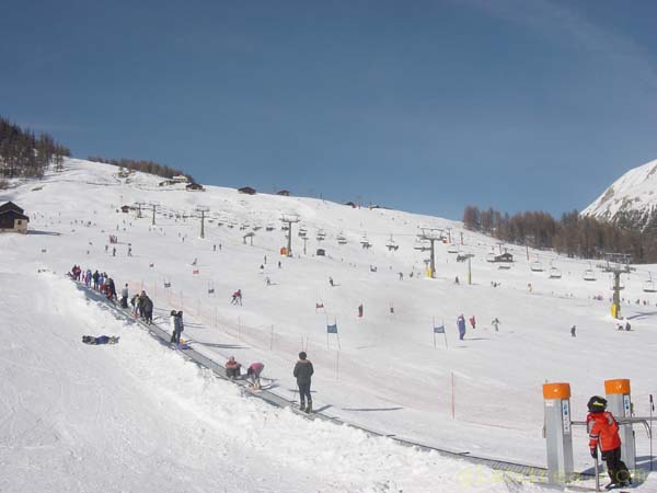DSC05841