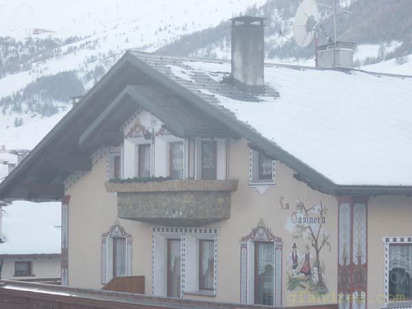 DSC05855