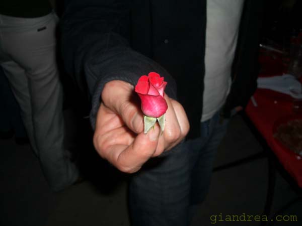 CIMG0444