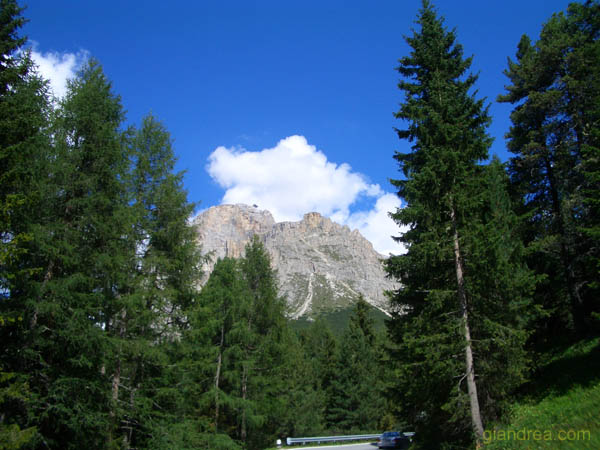 CIMG1464