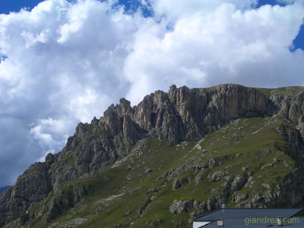 CIMG1487