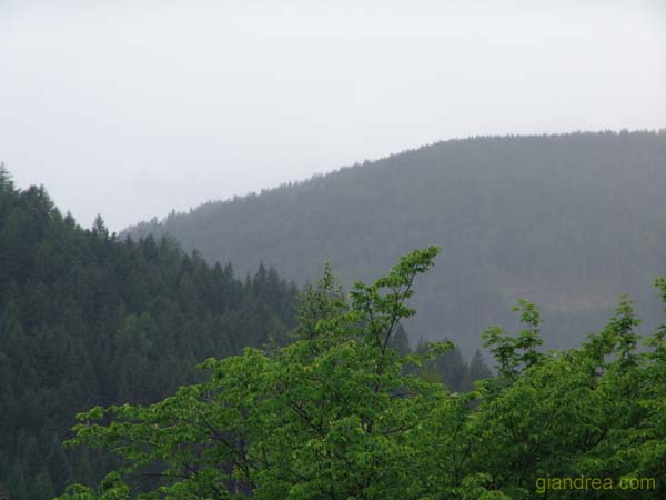 DSC00880