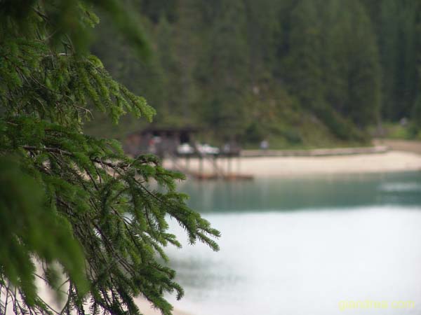 DSC00925