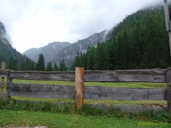 DSC00947