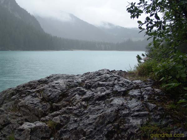 DSC00973