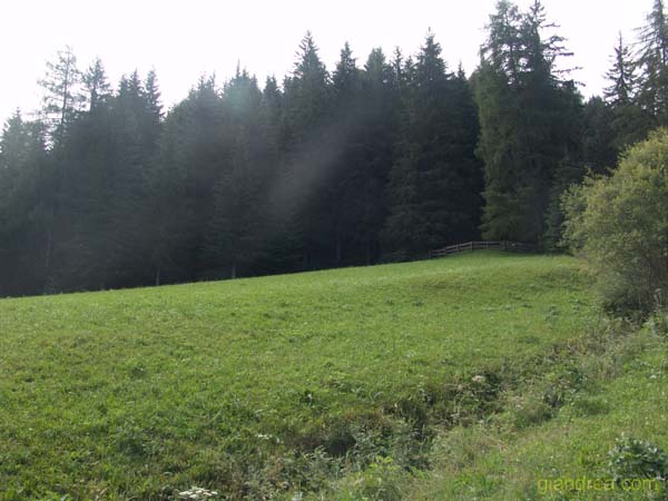 DSC00999