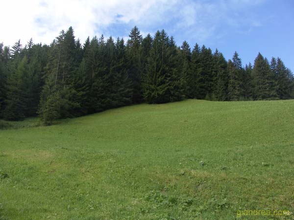 DSC01000