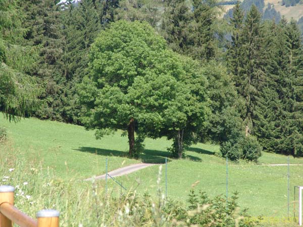 DSC01031
