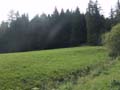 DSC00999