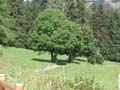DSC01031