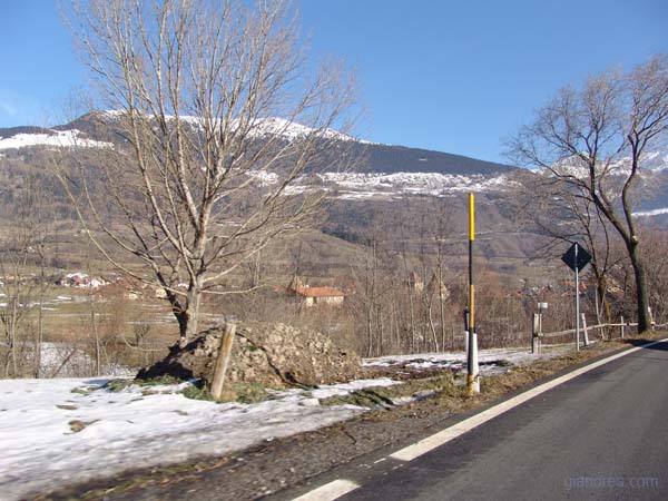 DSC01971