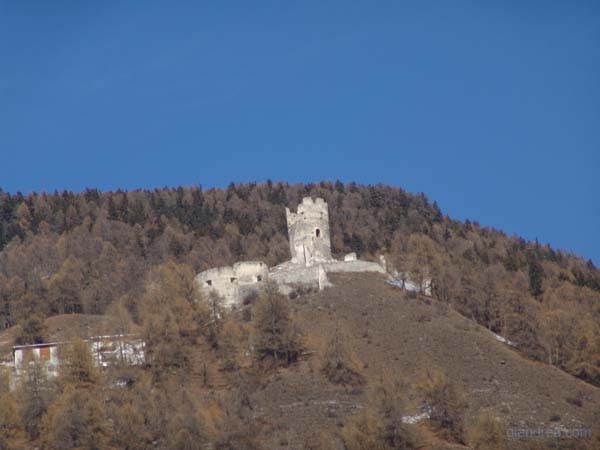 DSC01980