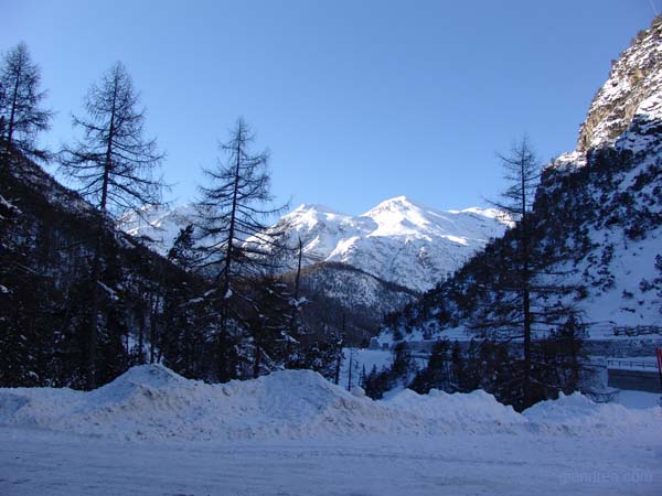 DSC02007