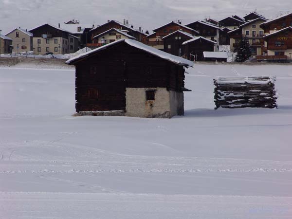 DSC02020