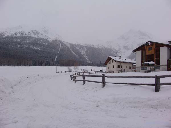 DSC02081