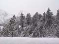 DSC02078
