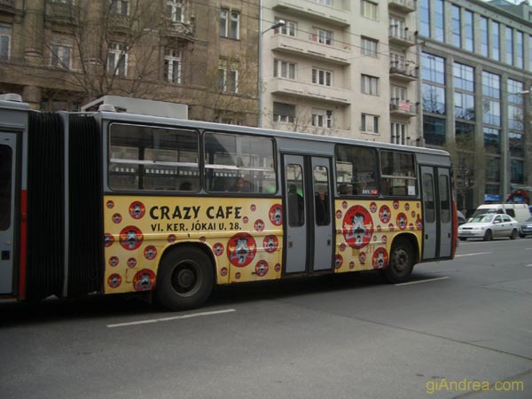 CIMG3575