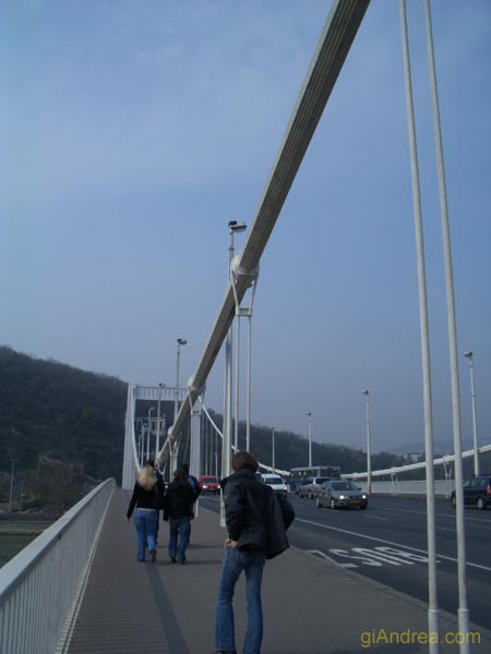 CIMG3679