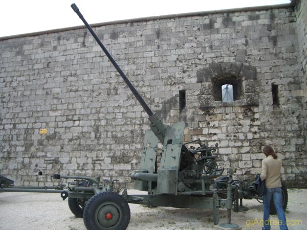 CIMG3696