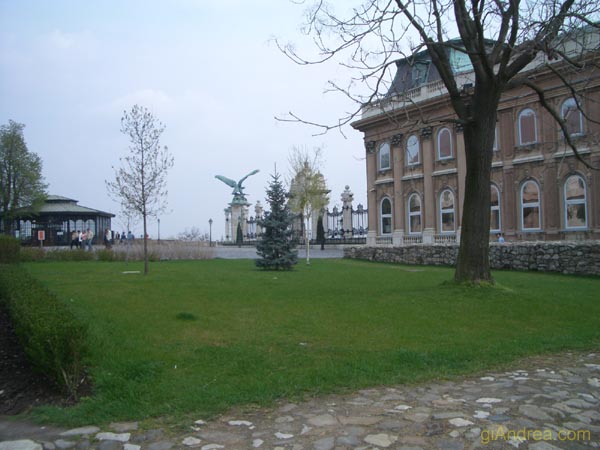 CIMG3714