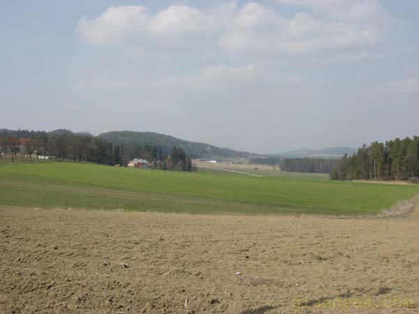 DSC06707