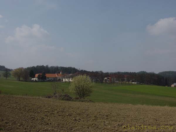 DSC06708