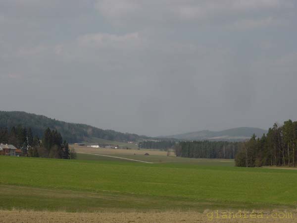 DSC06710