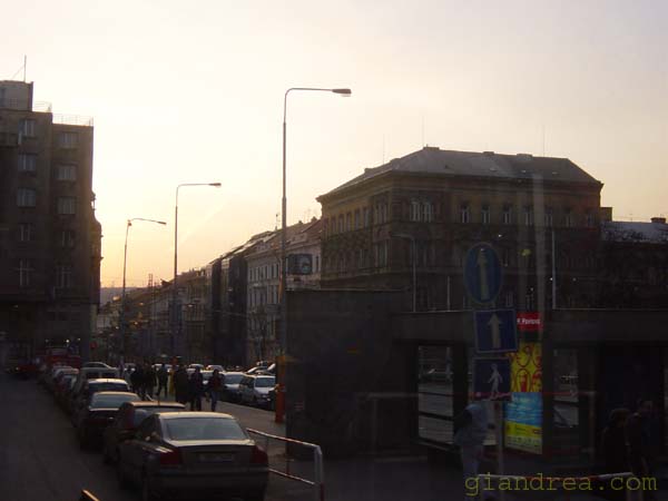 DSC06765