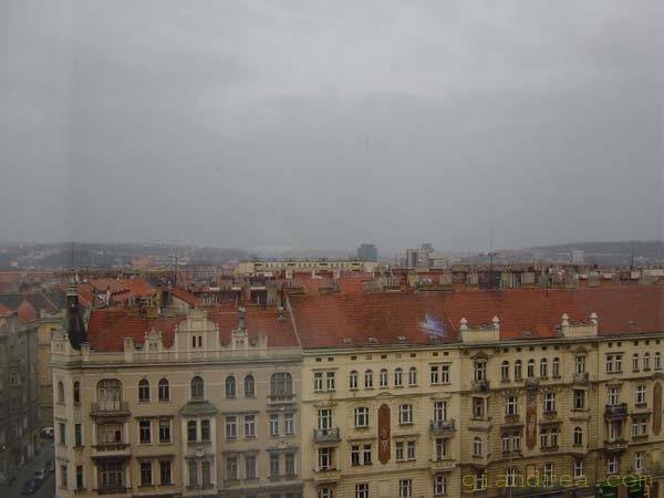 DSC06894
