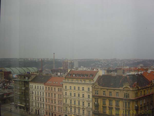DSC06895