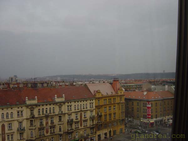 DSC06896