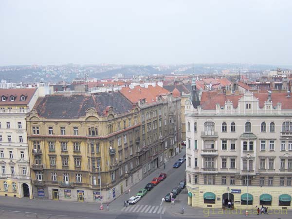 DSC06897