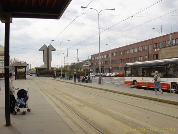 DSC06943