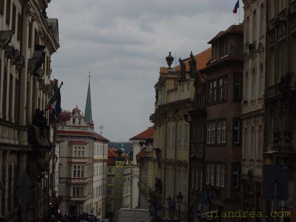 DSC06951