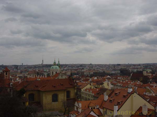 DSC06955