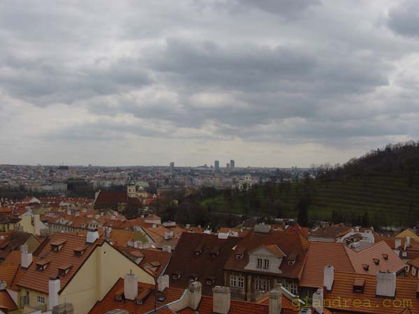 DSC06956