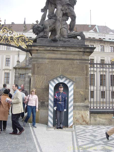 DSC06960