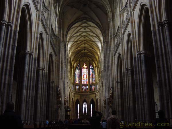 DSC06990