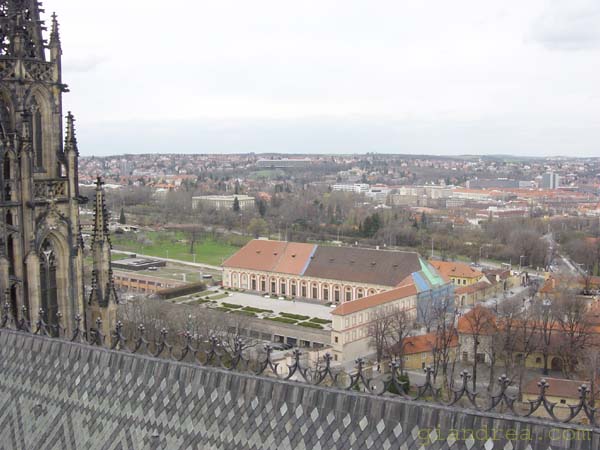DSC06998