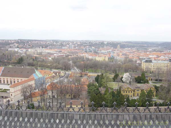 DSC06999