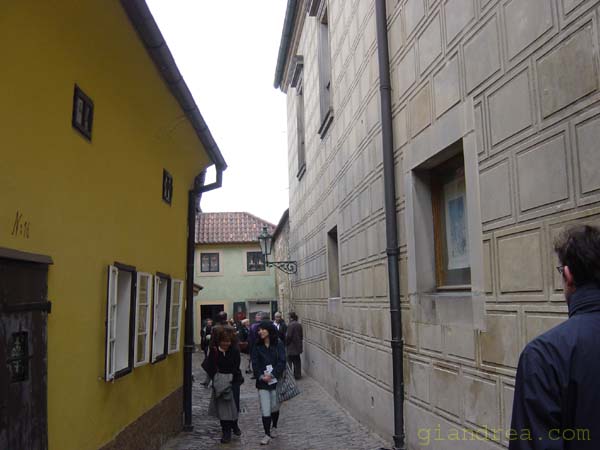 DSC07019
