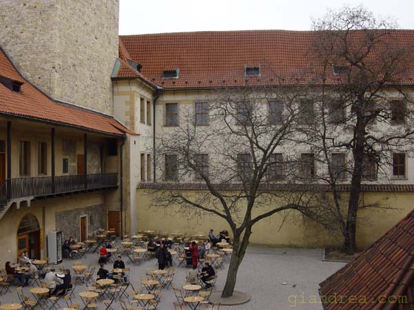 DSC07020