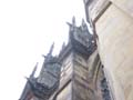 DSC07017