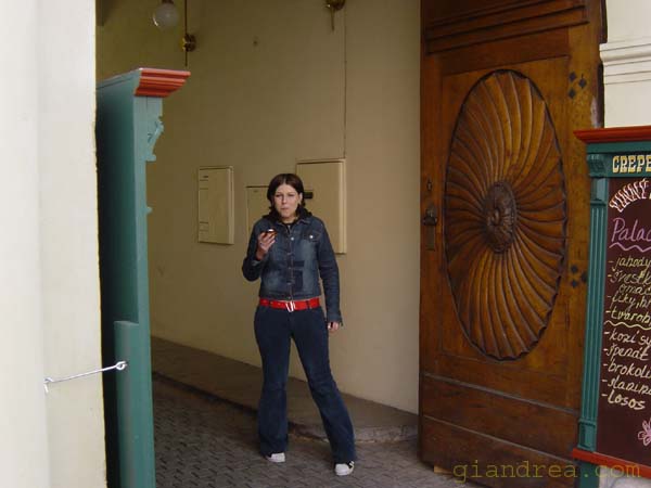 DSC07101