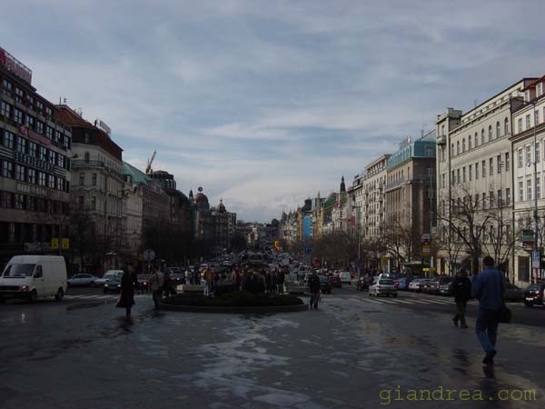 DSC07172