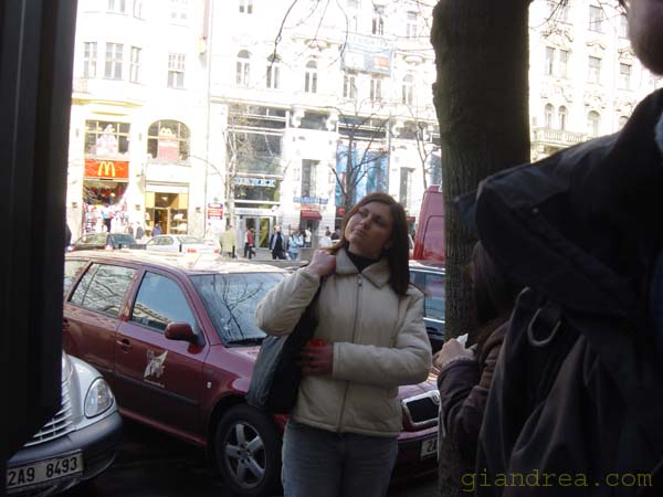 DSC07175