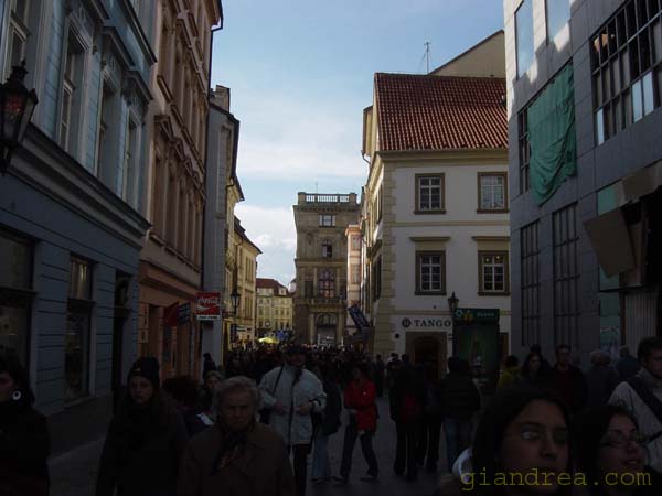 DSC07176